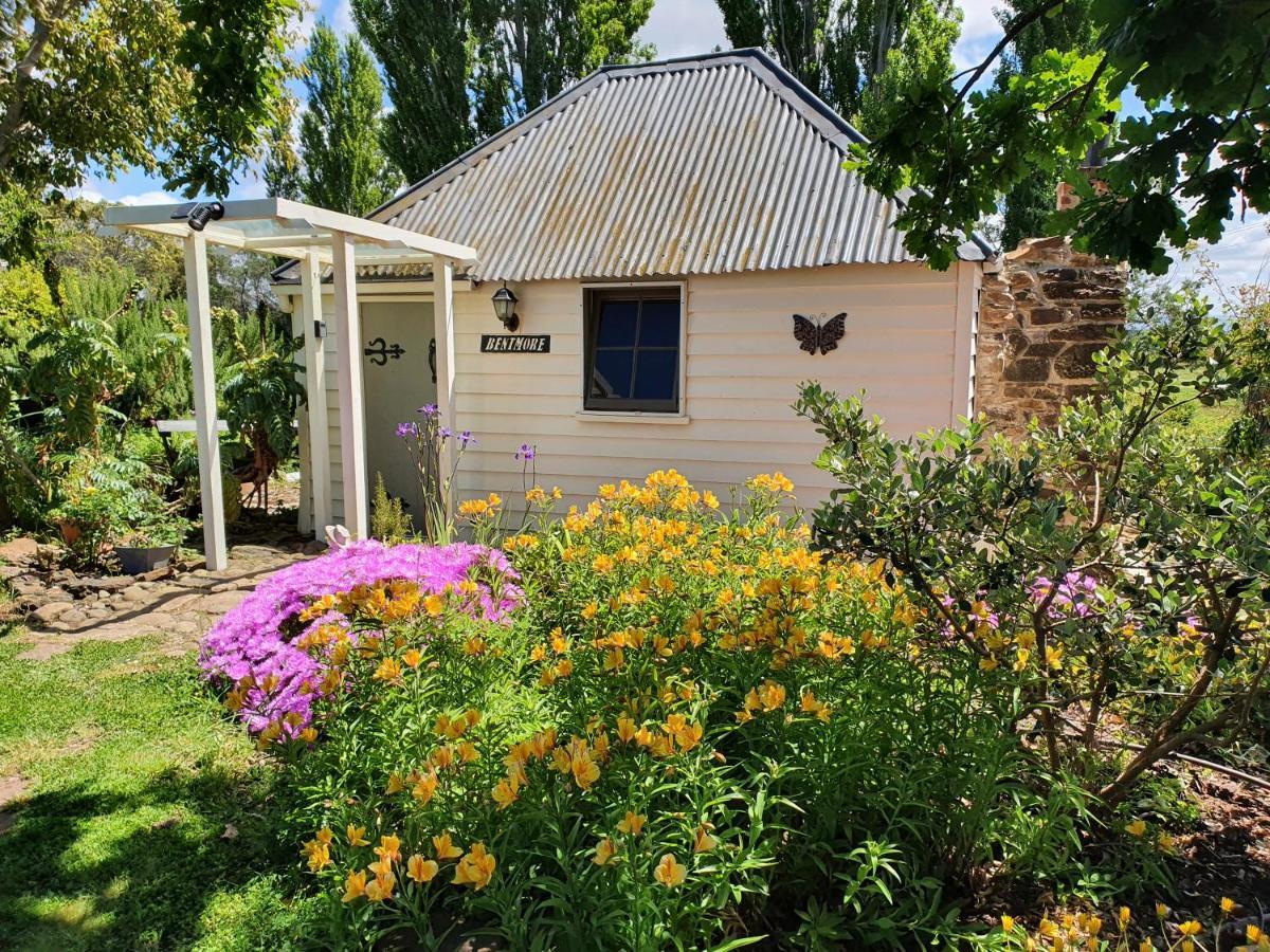 Belmont Homestead Swansea Exterior photo
